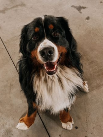 Oskar